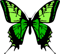 green butterfly clip art